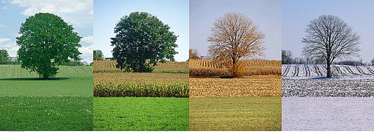 经典风格回合制RPG游戏《龙之谷》现已推出试玩Demo