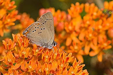 第一人称治愈休闲模拟游戏《喷漆模拟》现已推出试玩Demo