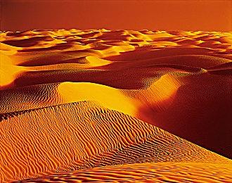 Switch版《路易吉洋馆2HD》全新预告片曝光